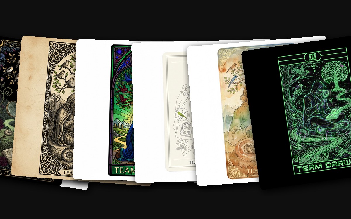 Tarot Card Collection